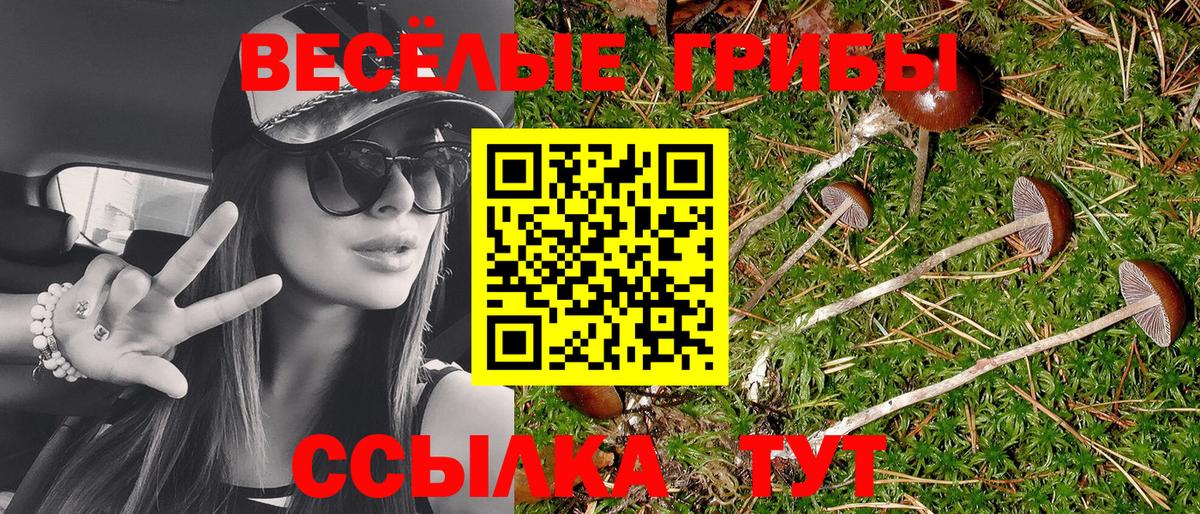 Псилоцибиновые грибы Magic Shrooms  Псилоцибиновые грибы Magic Shrooms  Тимашёвск  Вход с VPN 